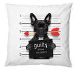 200mm² Scatter Cushion